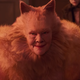 Illustration for article titled Evan Rachel Wood Had an Accurate Reaction to iCats/i: What the Fuck?